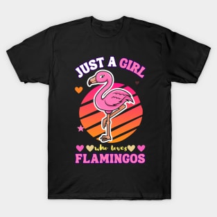 Just a girl who loves flamingos T-Shirt